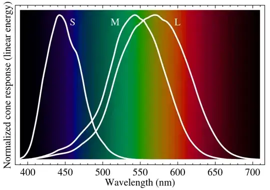 Wavelengths (eyes)