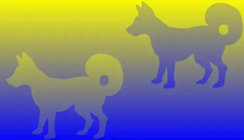 two dogs