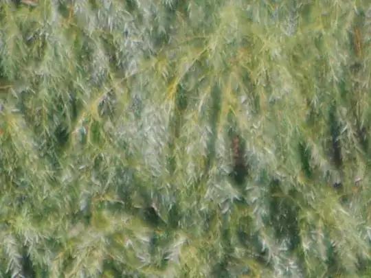 100% crop image of possibly broken Pentax DA L 55-300mm @ 300mm, f/5.8