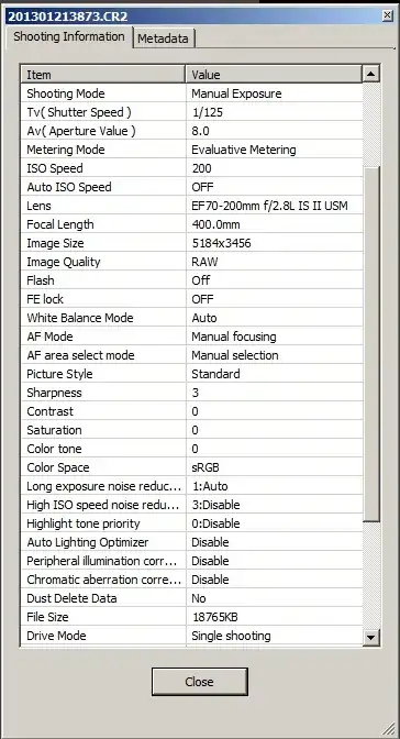 In camera info