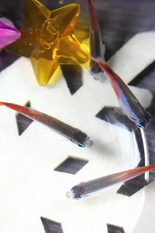 elegant fish