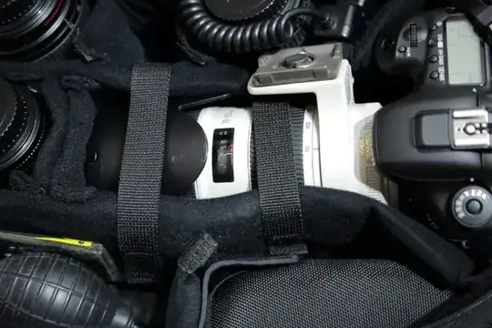 Camera in bag