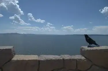 Raven at Lake Yellowstone looking South