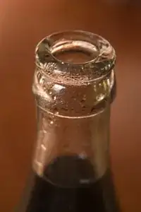 Bottle neck