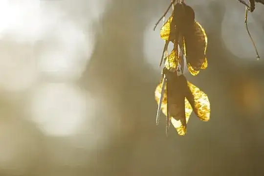 November sun
