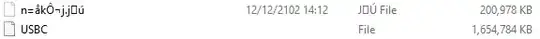 Bottom of the DCIM folder, two more large strangely named files.