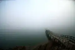 Misty morning