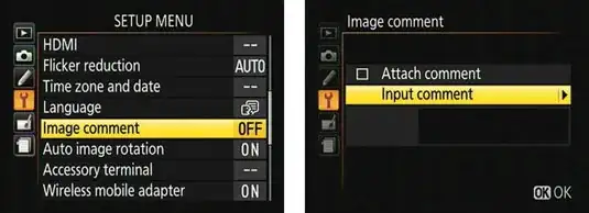 Nikon D5200 EXIF
