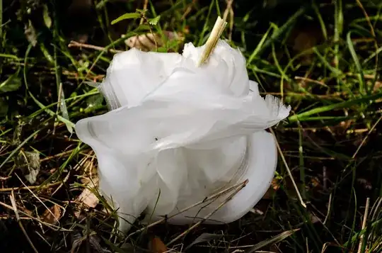 FrostFlower