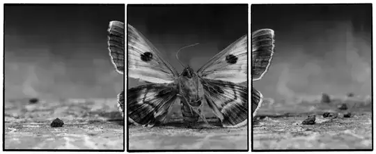 Rhopography #16