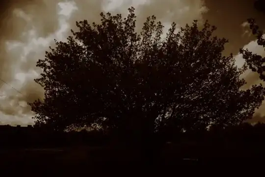 dark sepia tree