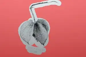Object selected