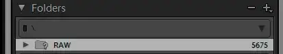 Missing Root Folder RAW