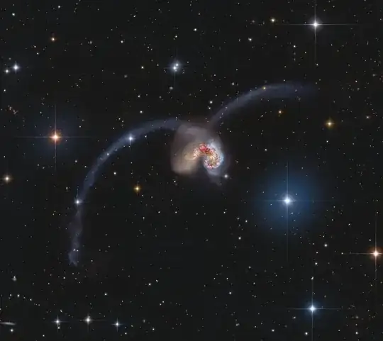the antennae
