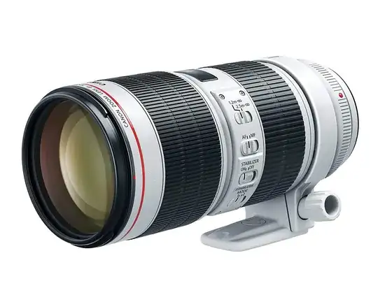 Canon EF 70-200mm f/2.8L III IS USM