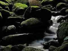 Passing Water | Água passando