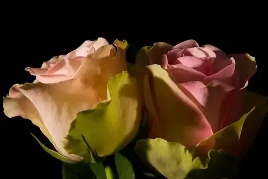 roses