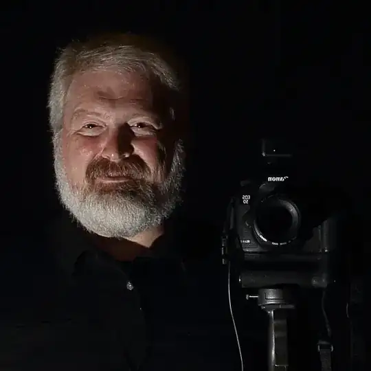 self portrait