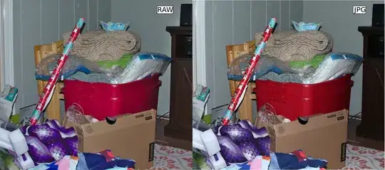 Side by side comparison of RAW vs. JPG of a picture that's several different kinds of mess