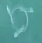 Ghost image