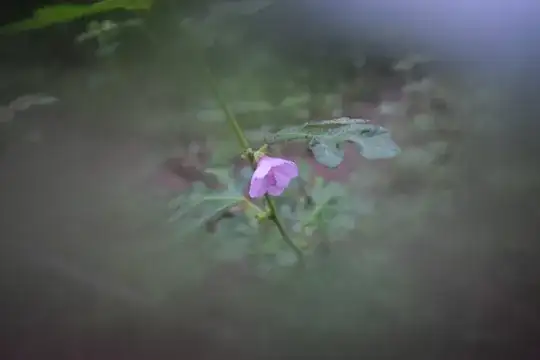 A stem with a pink flower and a leaf framed by a lens fog