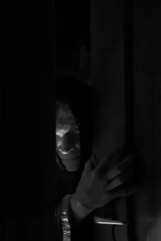 The Visitor