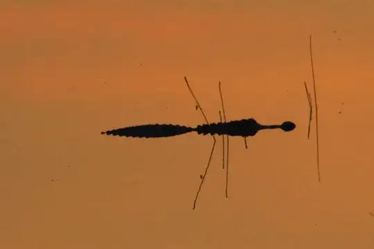 A Gator.