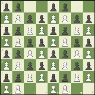 pawns
