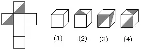 Dice