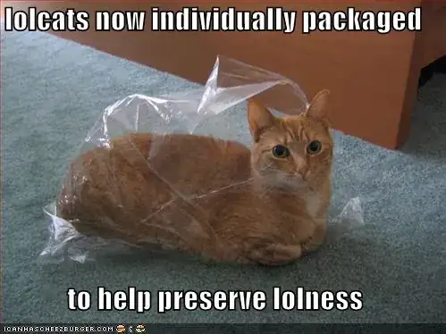 lolcat