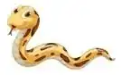 baby snake