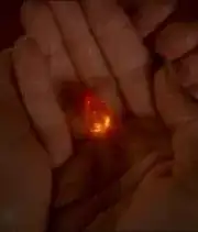 Transporter Crystal
