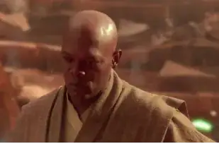 Mace Windu reflecting on killing Jango Fett
