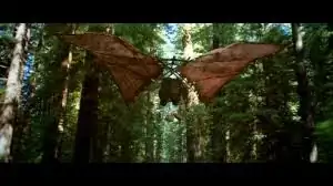 ewok flyer