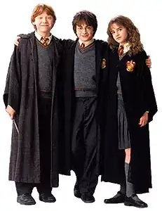 Harry, Ron, and Hermione in robes