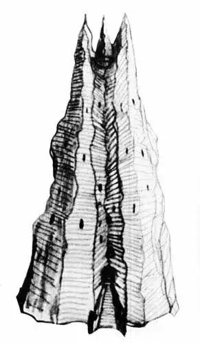 Orthanc 2