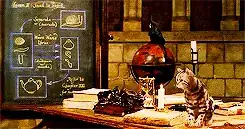 Gif showing a cat sat on top of a desk surrounded by books and various objects, it leaps forwards to the floor and transforms into McGonagall's human form and she walks between the desks with Ron and Harry looking shocked/amazed