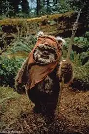 ewok warrior