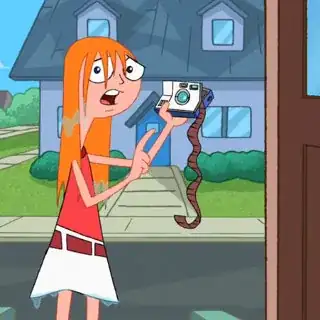 (Camera is now destroyed.)