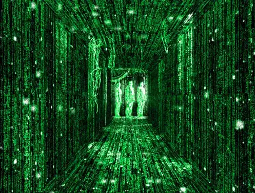software