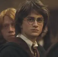 Hair in Goblet of Fire