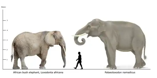 Scale picture showing a human silhouette alongside an African bush elephant at slightly less than 4m tall compared to a Palaeoloxodo namadicus which reaches 5m