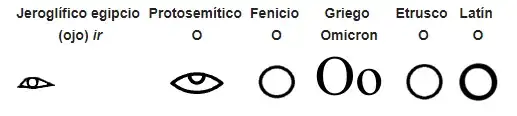 Evolución de la O