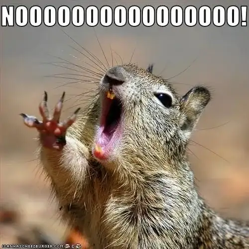 ¡Nooooooooooooo!