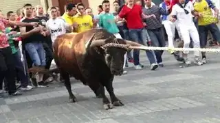 Gayumbo