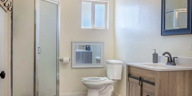 Bathroom with a standing shower and modern vanity