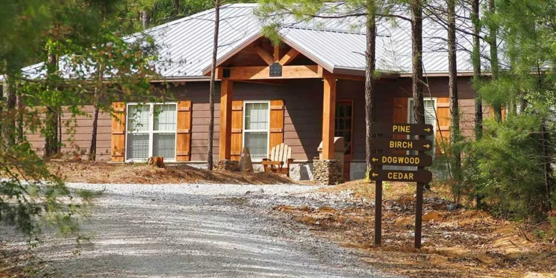 Cabin surrounded by pine trees with wooden accents
