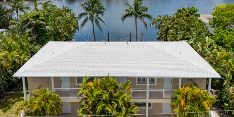 Aerial view of building near water and palm trees