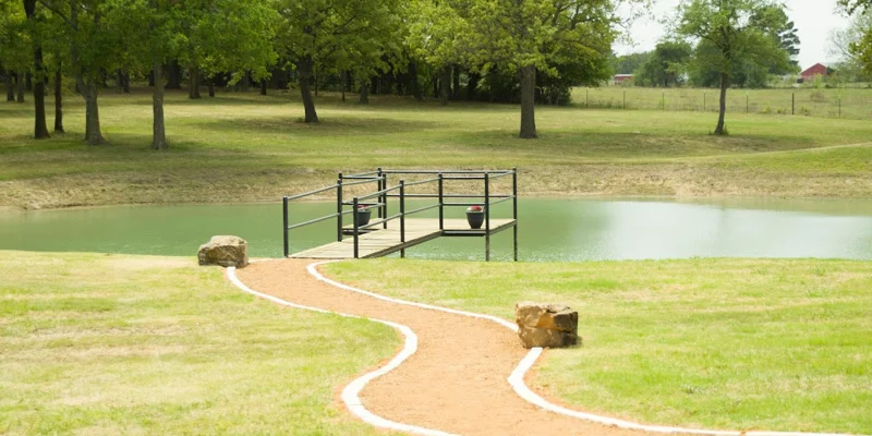 A peaceful pond with a wooden dock and surrounding greenery.