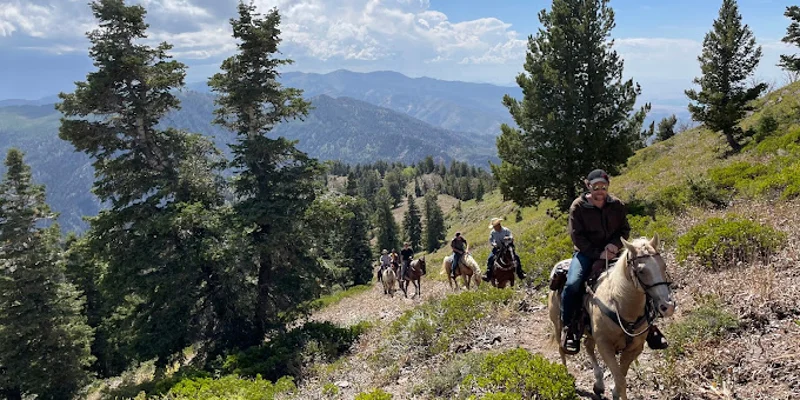 Group of men riding horses up a a green hill with mountains in the background.